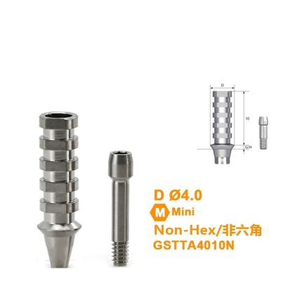 Osstem GS(TS)® HIossen® Titanium Temporary Abutment Compatible with  Mini / Regular (Engaging & Non-Engaging)